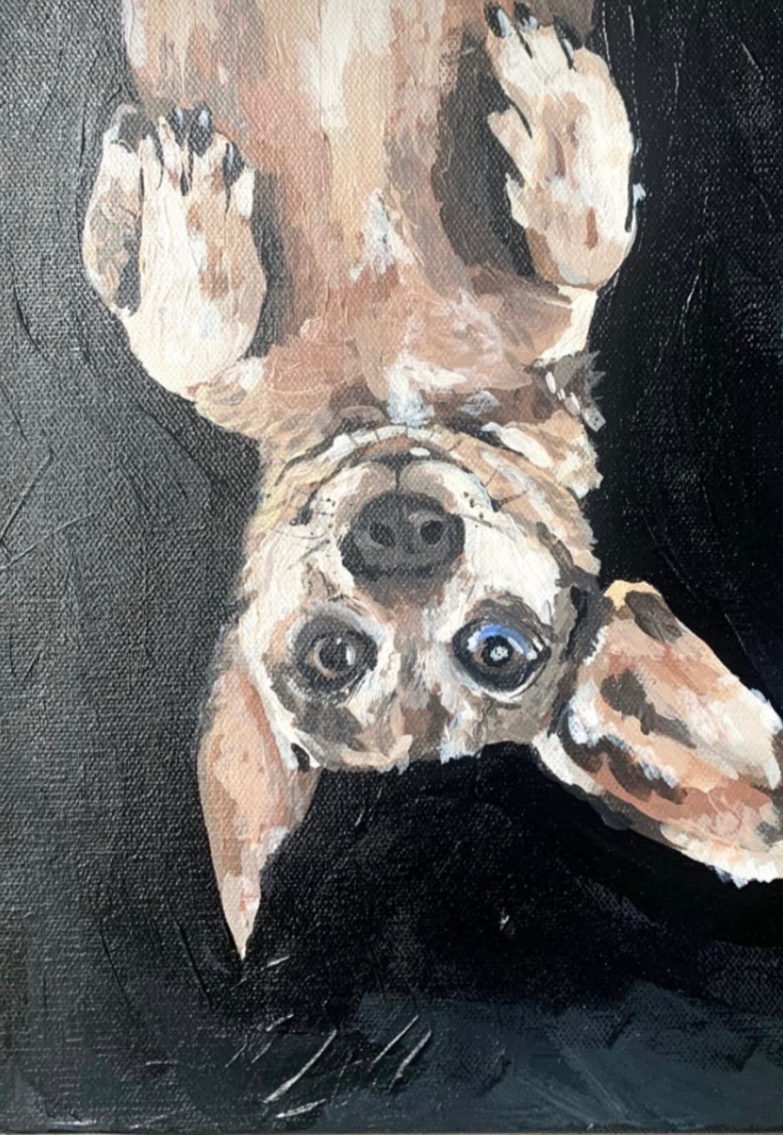 Custom Pet Portrait — 8×10